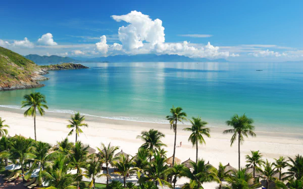 HD PC desktop wallpaper featuring a tropical beach and lagoon with palm trees, clear ocean waters, and vibrant blue skies in a serene tropics photography scene.