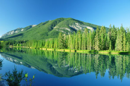 A serene landscape of Banff National Park, Canada, featuring a tranquil lake reflecting lush trees and a majestic mountain under a clear blue sky. Perfect for nature lovers.