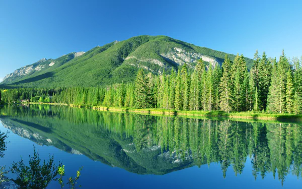 A serene landscape of Banff National Park, Canada, featuring a tranquil lake reflecting lush trees and a majestic mountain under a clear blue sky. Perfect for nature lovers.
