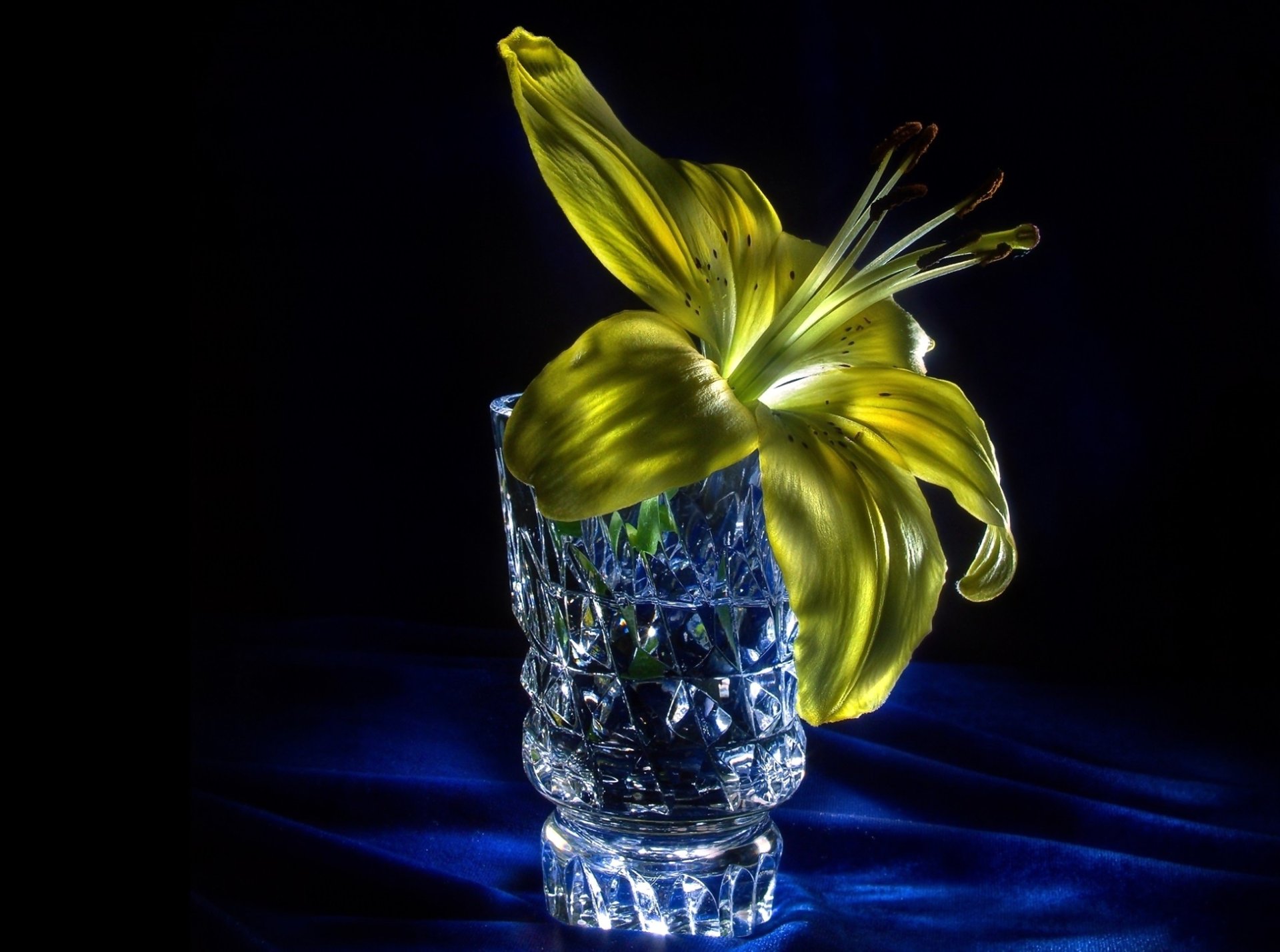 Download Yellow Flower Glass Lily Man Made Flower  HD Wallpaper