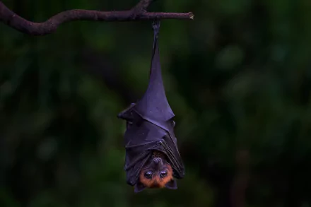  Upside down by mommam 777
