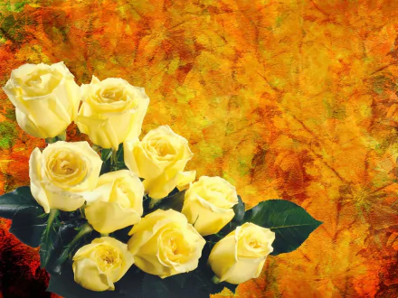  Yellow Roses