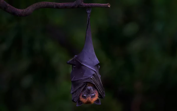  Upside down by mommam 777
