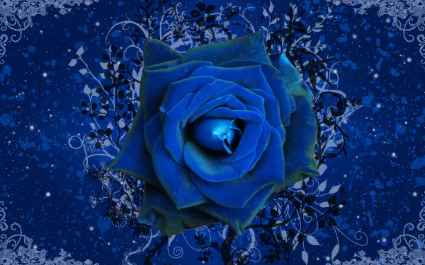  Blue Rose
