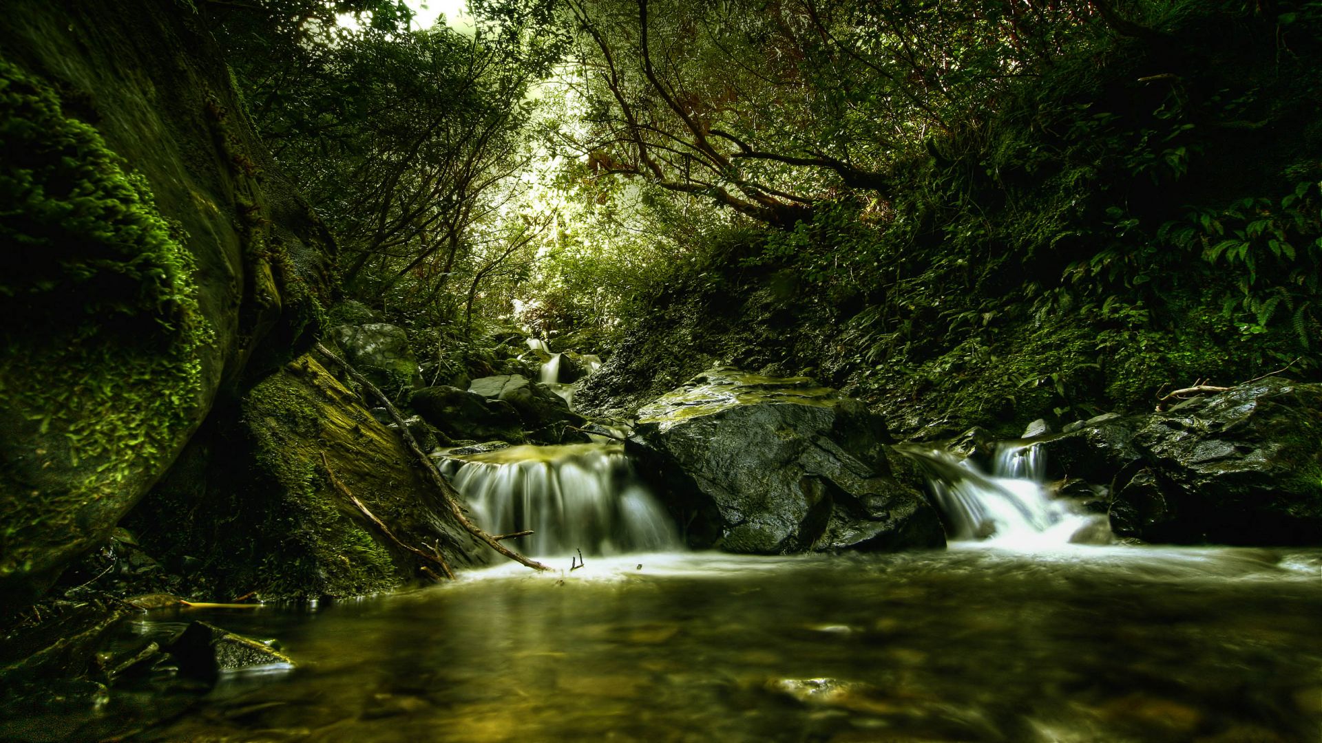 Forest Waterfall Full HD Wallpaper And Background 1920x1080 ID