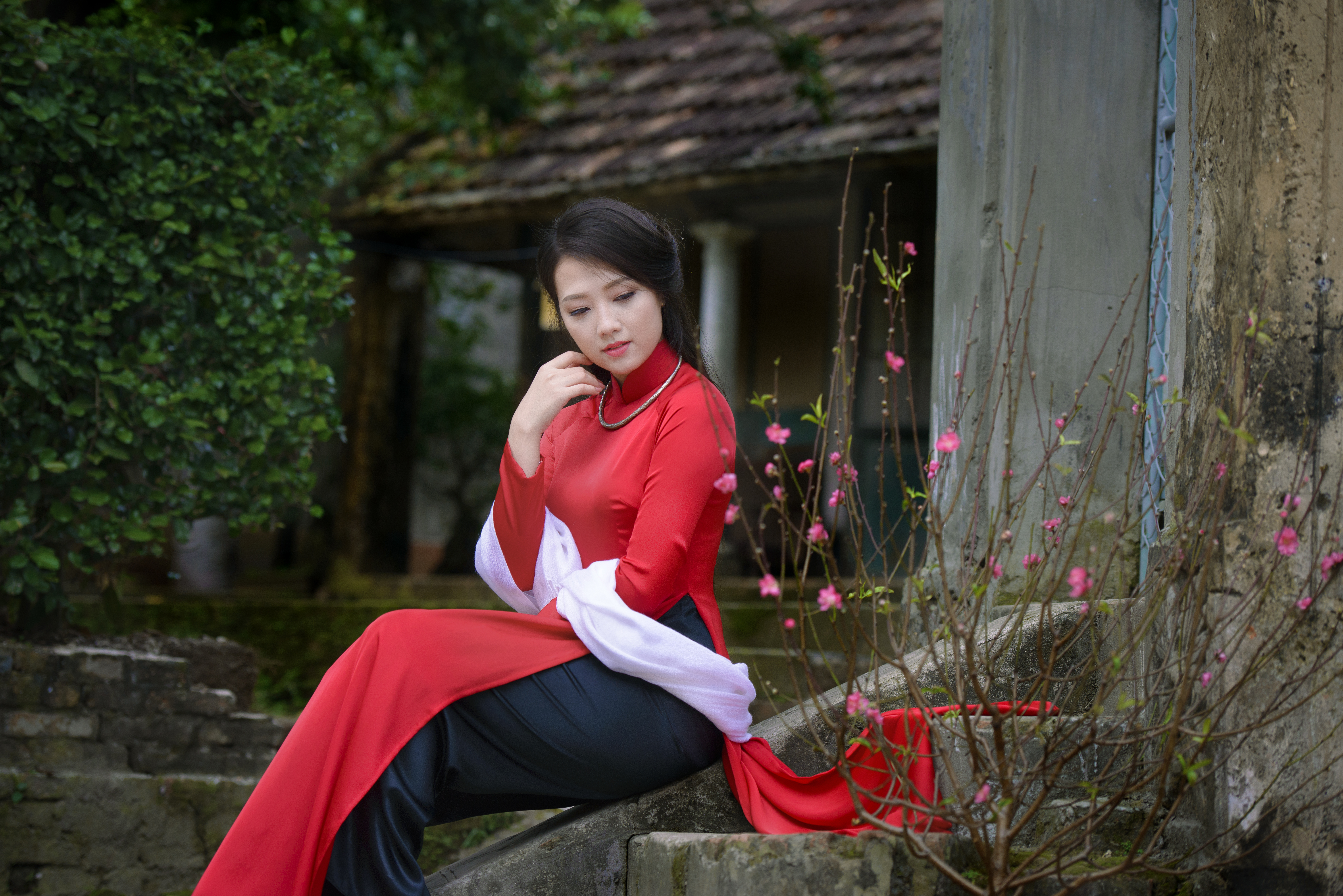 Women Asian HD Wallpaper | Background Image