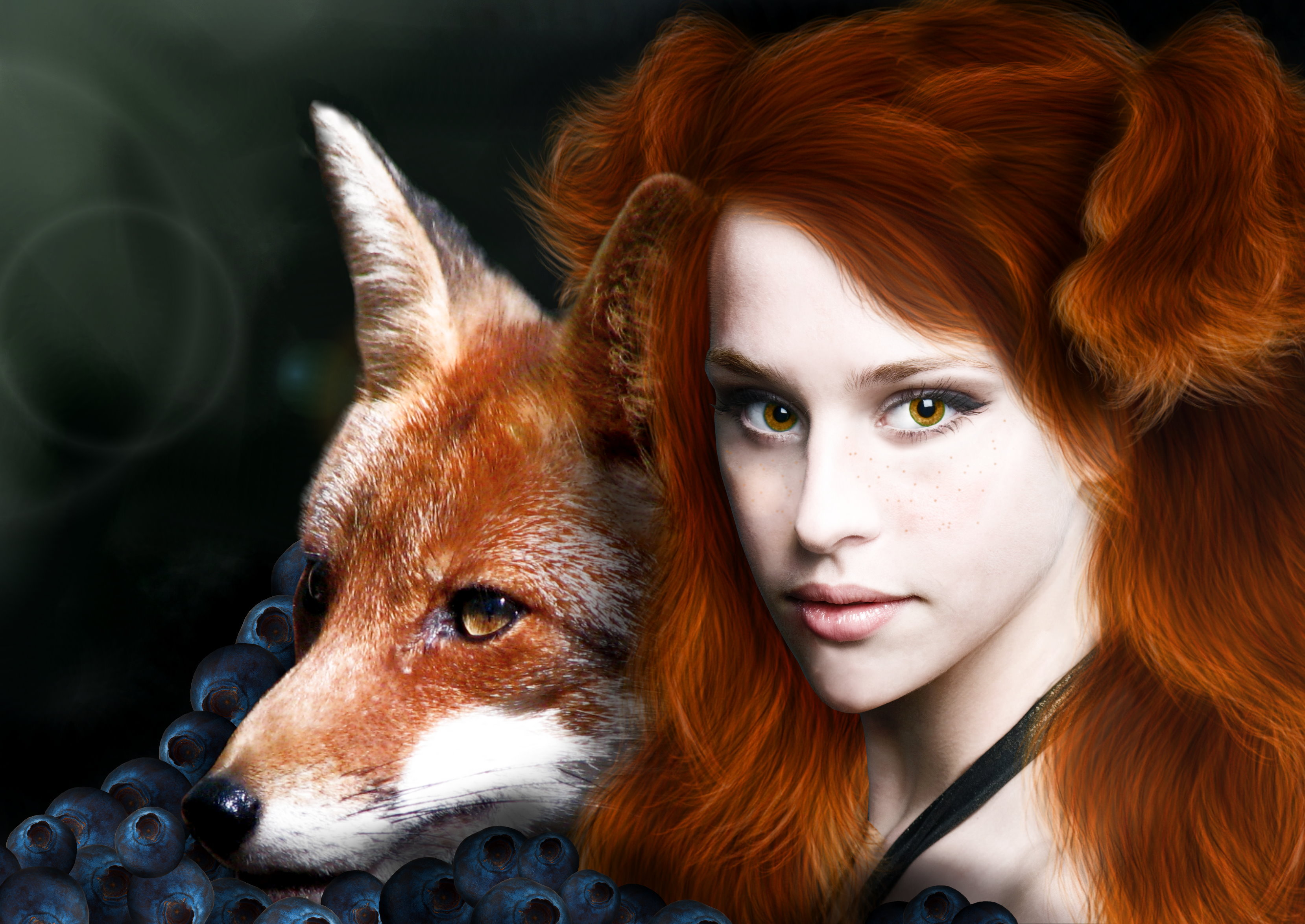 Foxy lady HD Wallpaper | Hintergrund | 3317x2349 | ID:708931