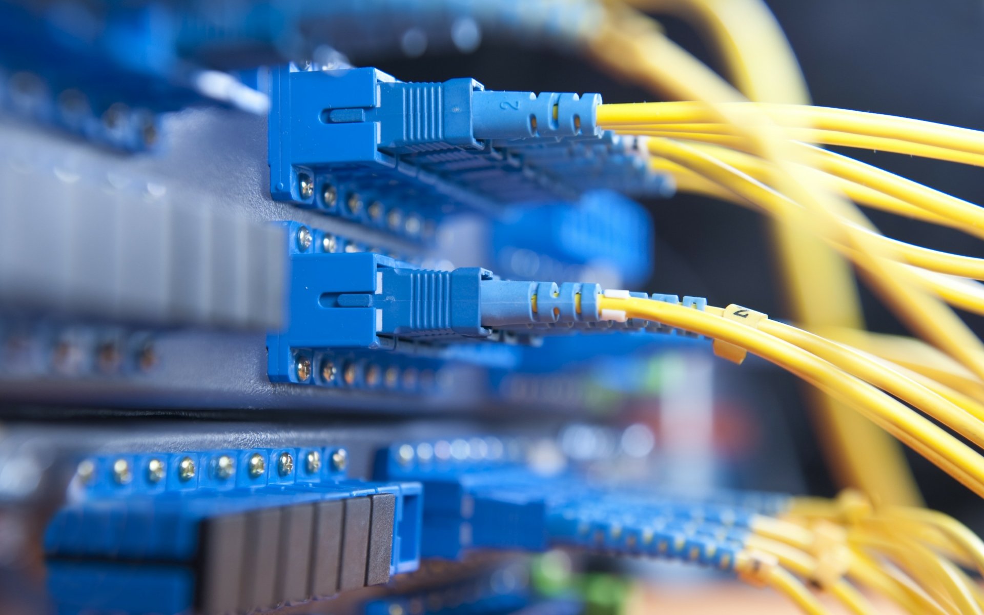 Close-up of blue Ethernet cables connected to a server, highlighting technology and computer networking in an HD PC desktop wallpaper.