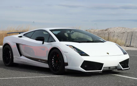 car white car supercar Lamborghini Lamborghini Gallardo LP 570-4 vehicle Lamborghini Gallardo Superleggera HD Desktop Wallpaper | Background Image