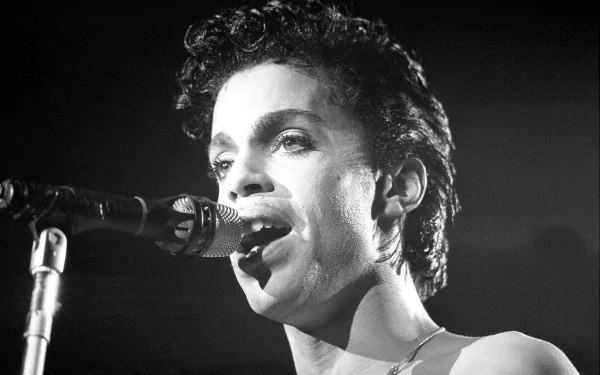 Prince (Singer) musician singer music prince HD Desktop Wallpaper | Background Image