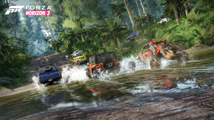  Race in the forest