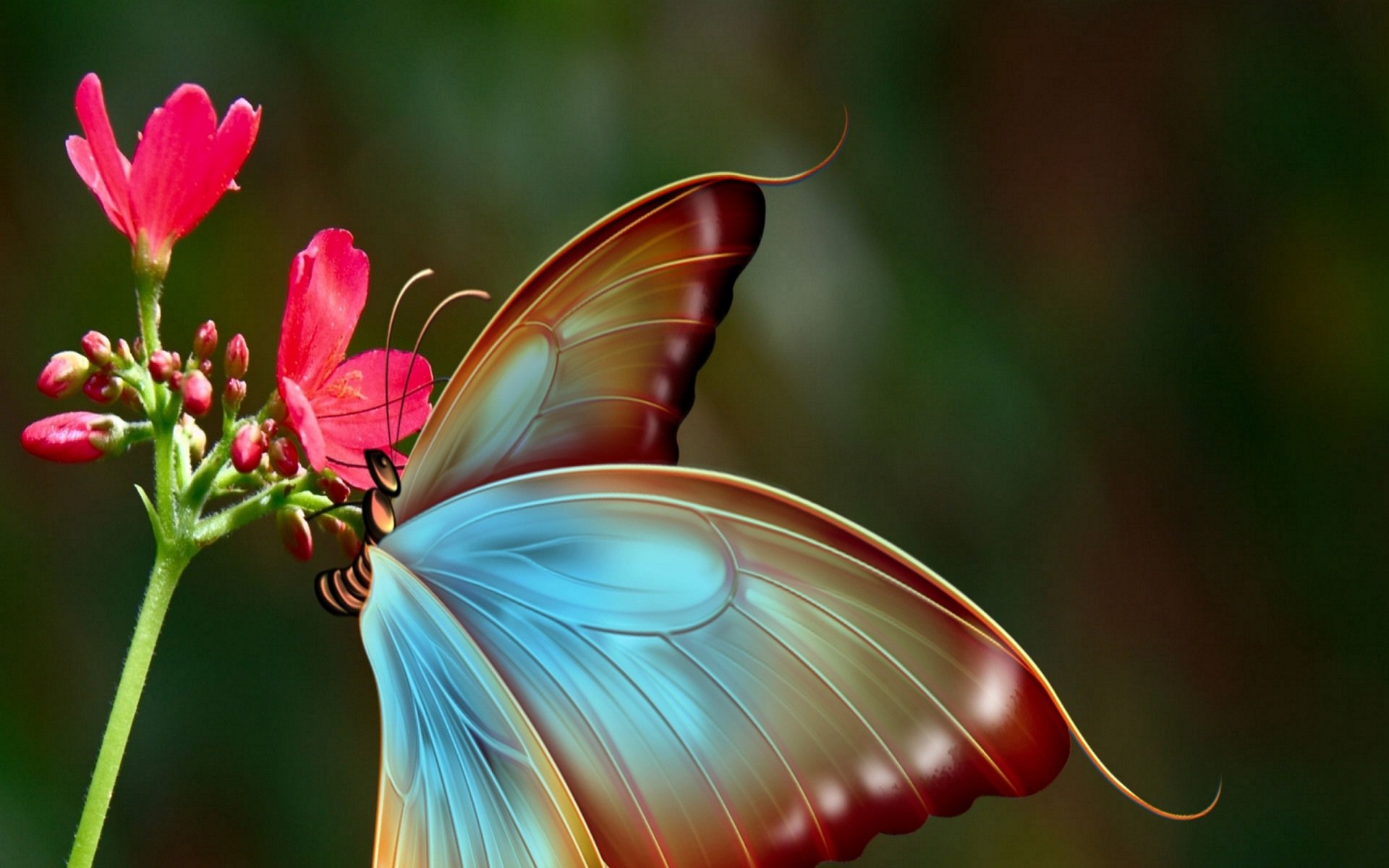 25 Greatest butterfly and flower desktop wallpaper You Can Get It For ...