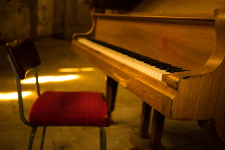 instrument music piano HD Desktop Wallpaper | Background Image