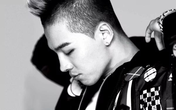 music taeyang HD Desktop Wallpaper | Background Image