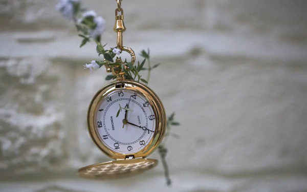 pocket watch man made watch HD Desktop Wallpaper | Background Image