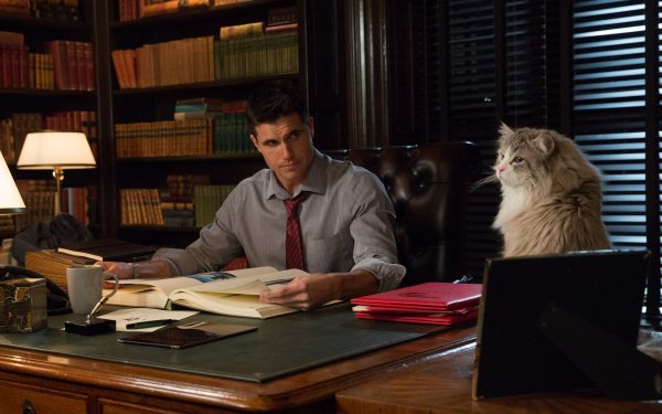 Movie Nine Lives Robbie Amell HD Wallpaper | Background Image