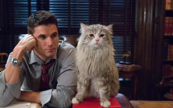 Robbie Amell movie Nine Lives HD Desktop Wallpaper | Background Image