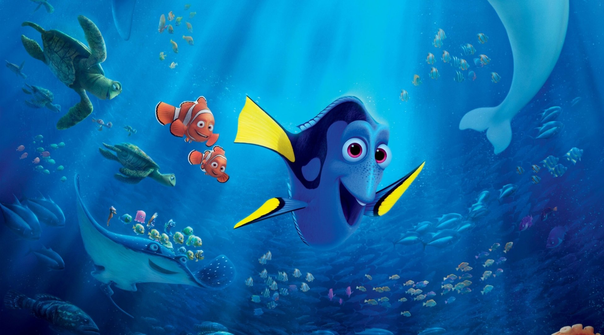 30 Finding Dory Hd Wallpapers Background Images