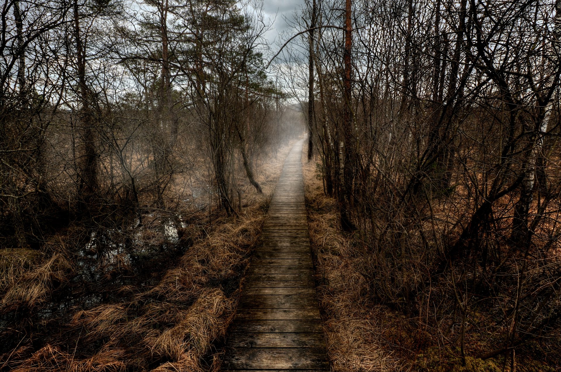 A foggy forest scene with a man-made wooden boardwalk path winding through dense trees, captured in 4K Ultra HD for a PC desktop wallpaper background.