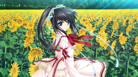 Kotarou Tennouji Anime Rewrite HD Desktop Wallpaper | Background Image