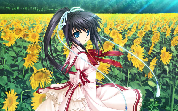 Kotarou Tennouji Anime Rewrite HD Desktop Wallpaper | Background Image