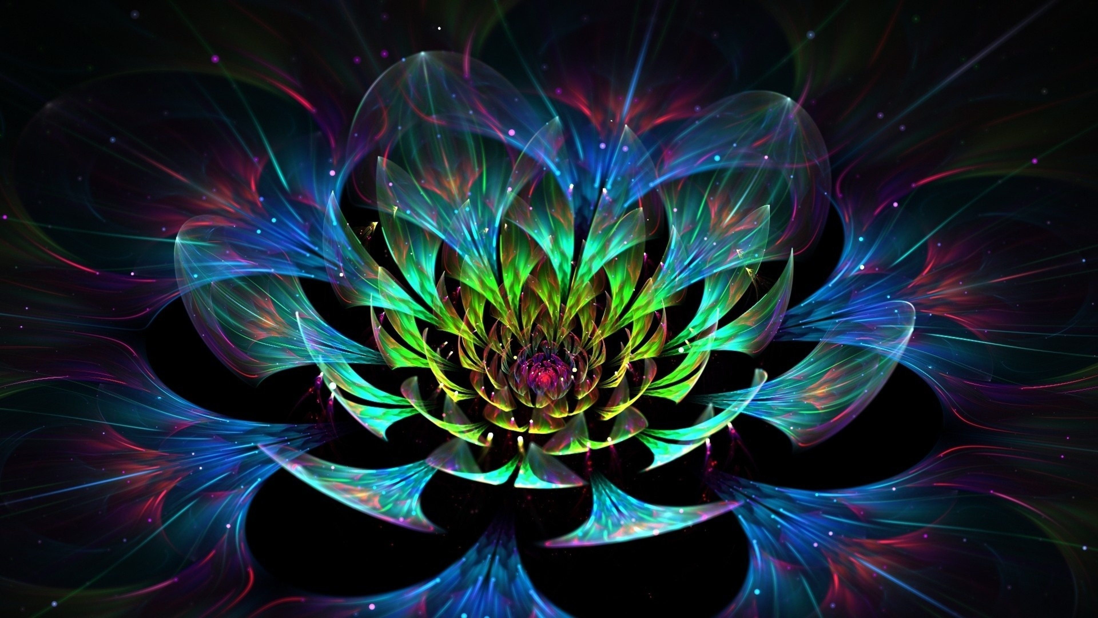 Abstract Lotus Flower