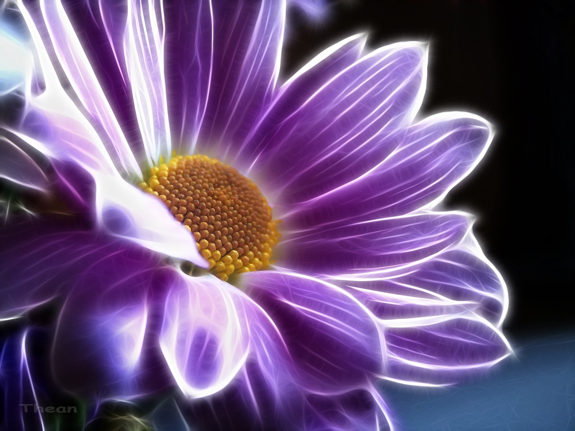 Purple CGI Chrysanthemum