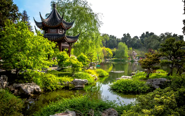  USA, California, Huntington Botanical Gardens