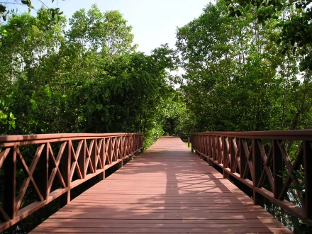HD desktop wallpaper featuring a man-made wooden bridge surrounded by lush green trees, creating a serene and picturesque nature scene.
