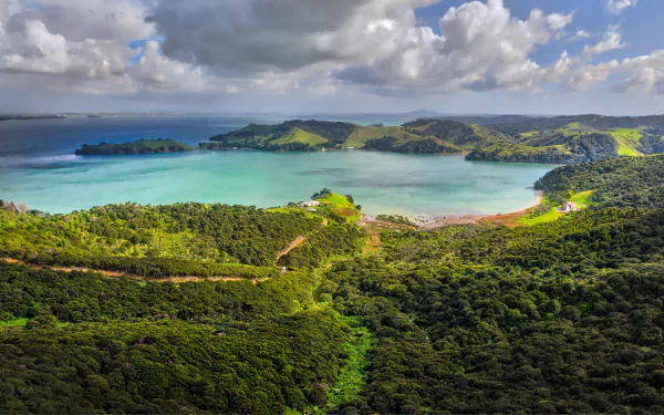  Stunning Waiheke form above