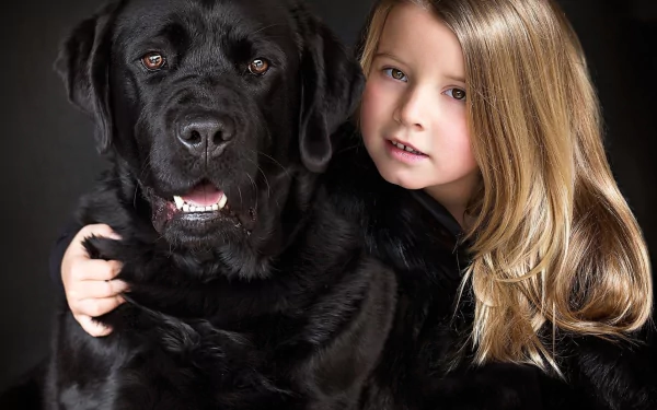 A cute little girl with long blonde hair hugs a large black Labrador Retriever against a dark background in this HD desktop wallpaper.