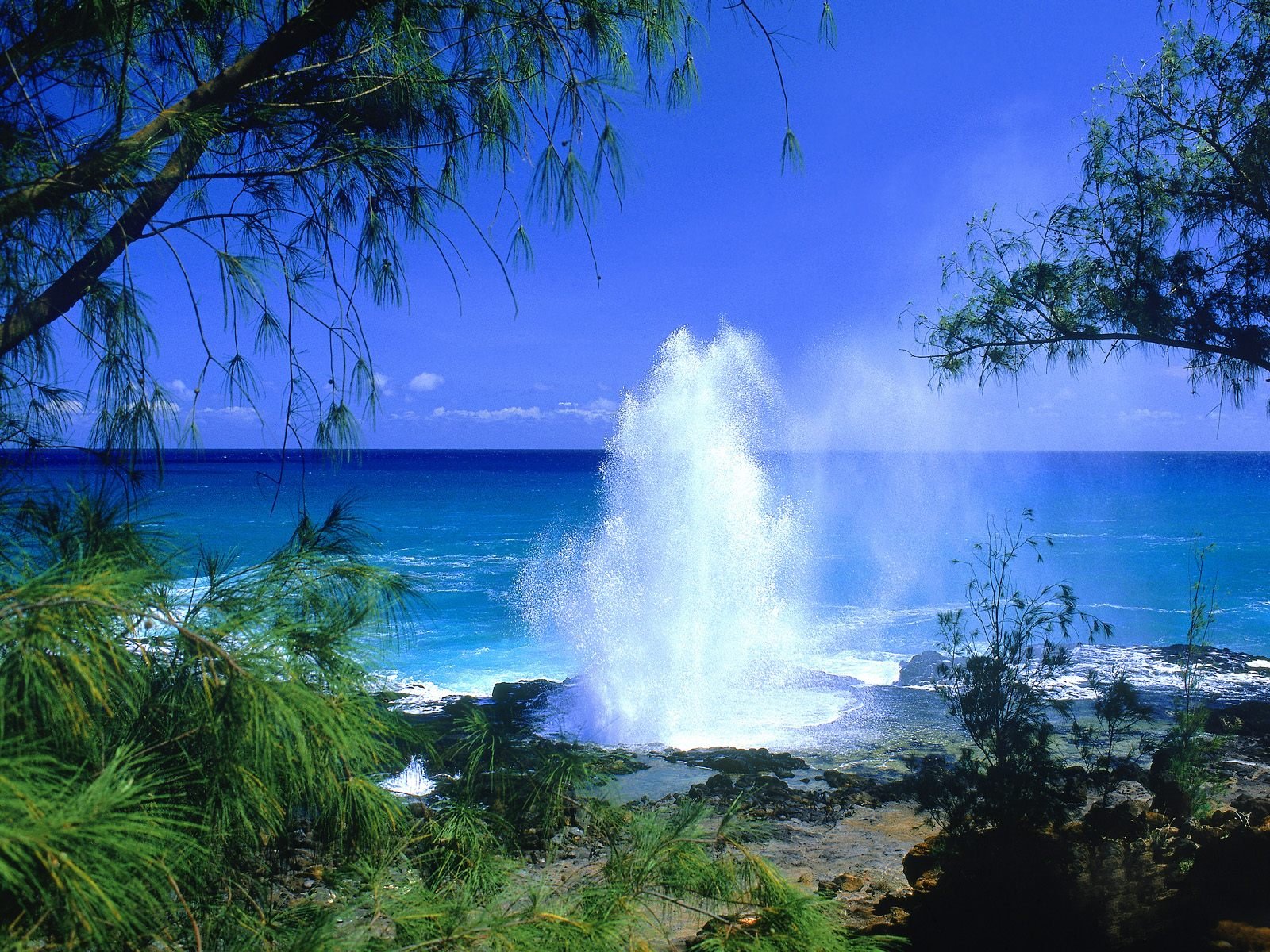 HD desktop wallpaper featuring a spectacular geyser erupting near a serene, blue ocean, surrounded by lush greenery under a clear, vibrant sky.