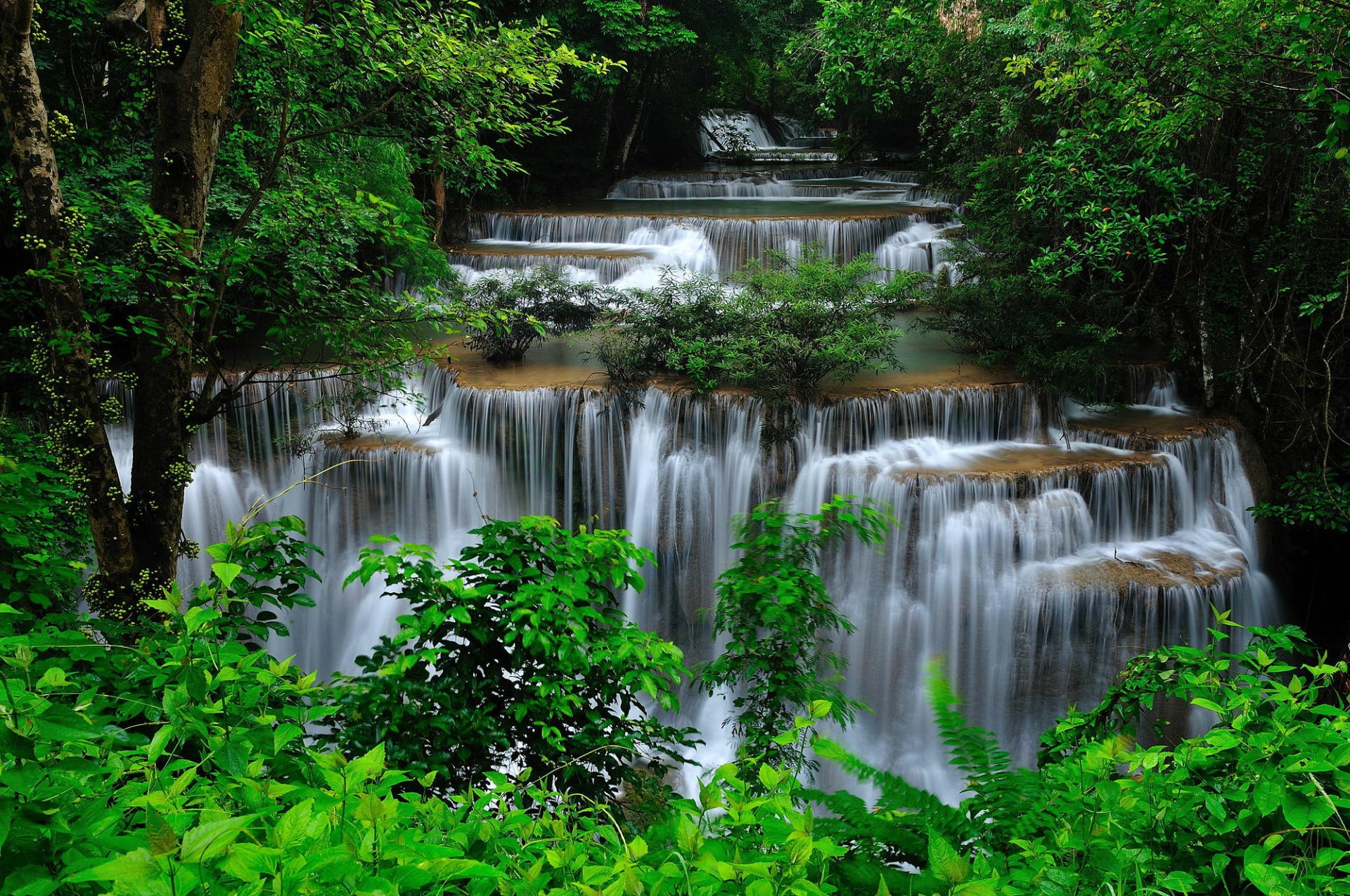 Lush green forest with layered waterfalls cascading over rocks, captured in striking HD for a vibrant PC desktop wallpaper.