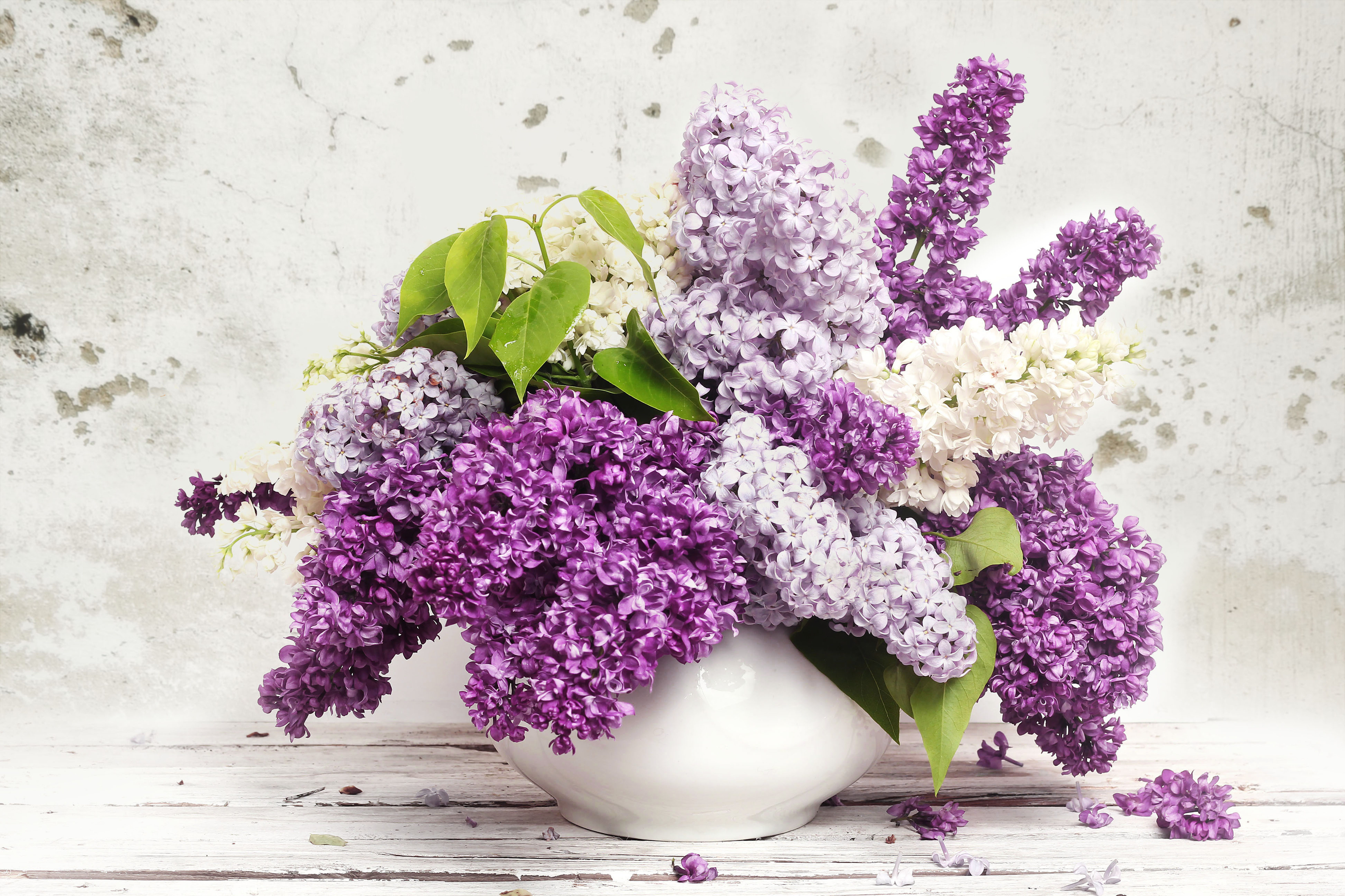 Download Purple Flower Vase Lilac Man Made Flower 4k Ultra HD Wallpaper