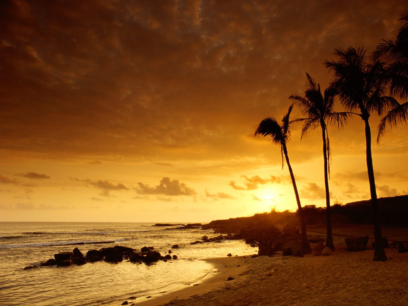 HD PC desktop wallpaper showing a serene beach scene at sunset with silhouetted palm trees and calm waves under a golden sky.