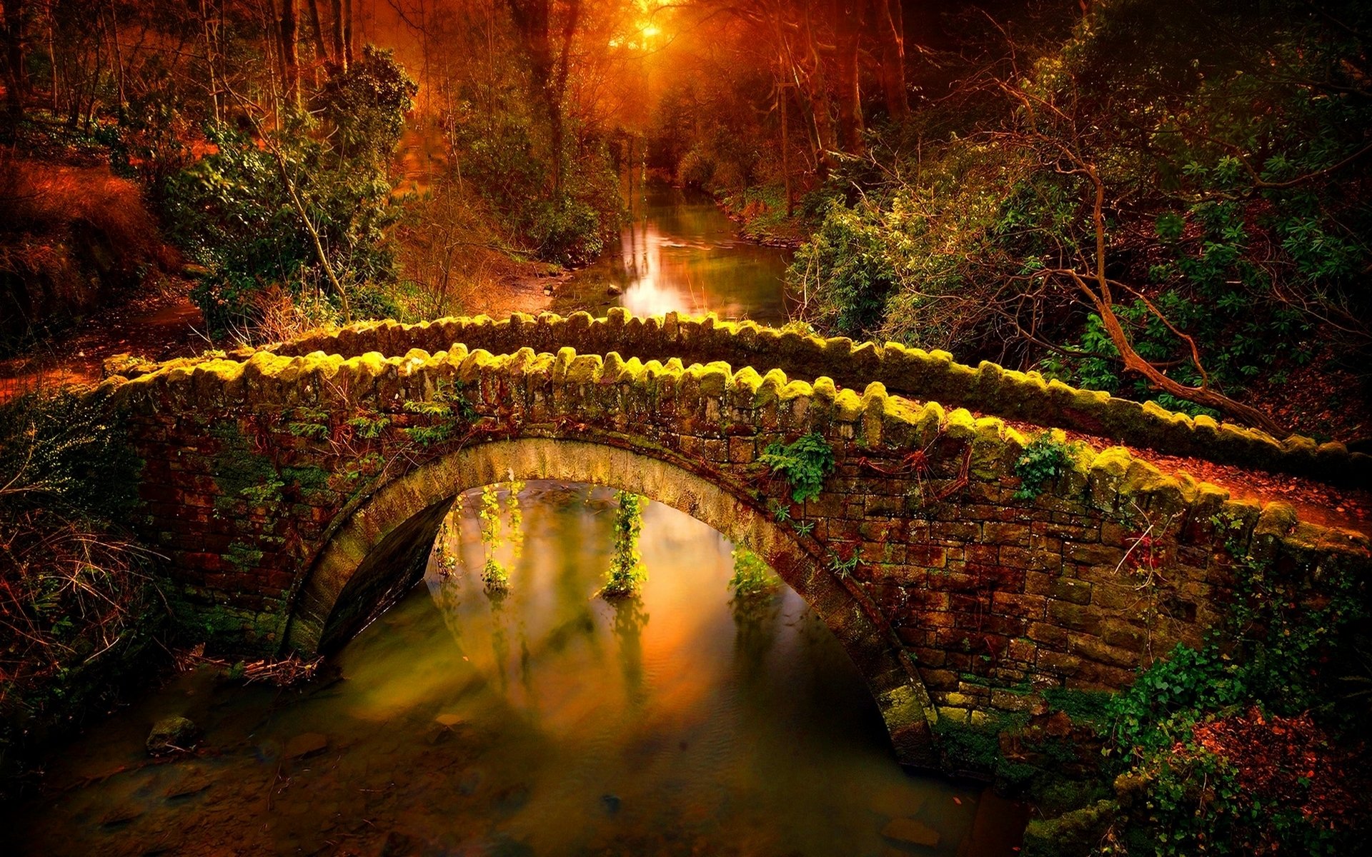 Stone Bridge in the Forest HD Wallpaper | Background Image  