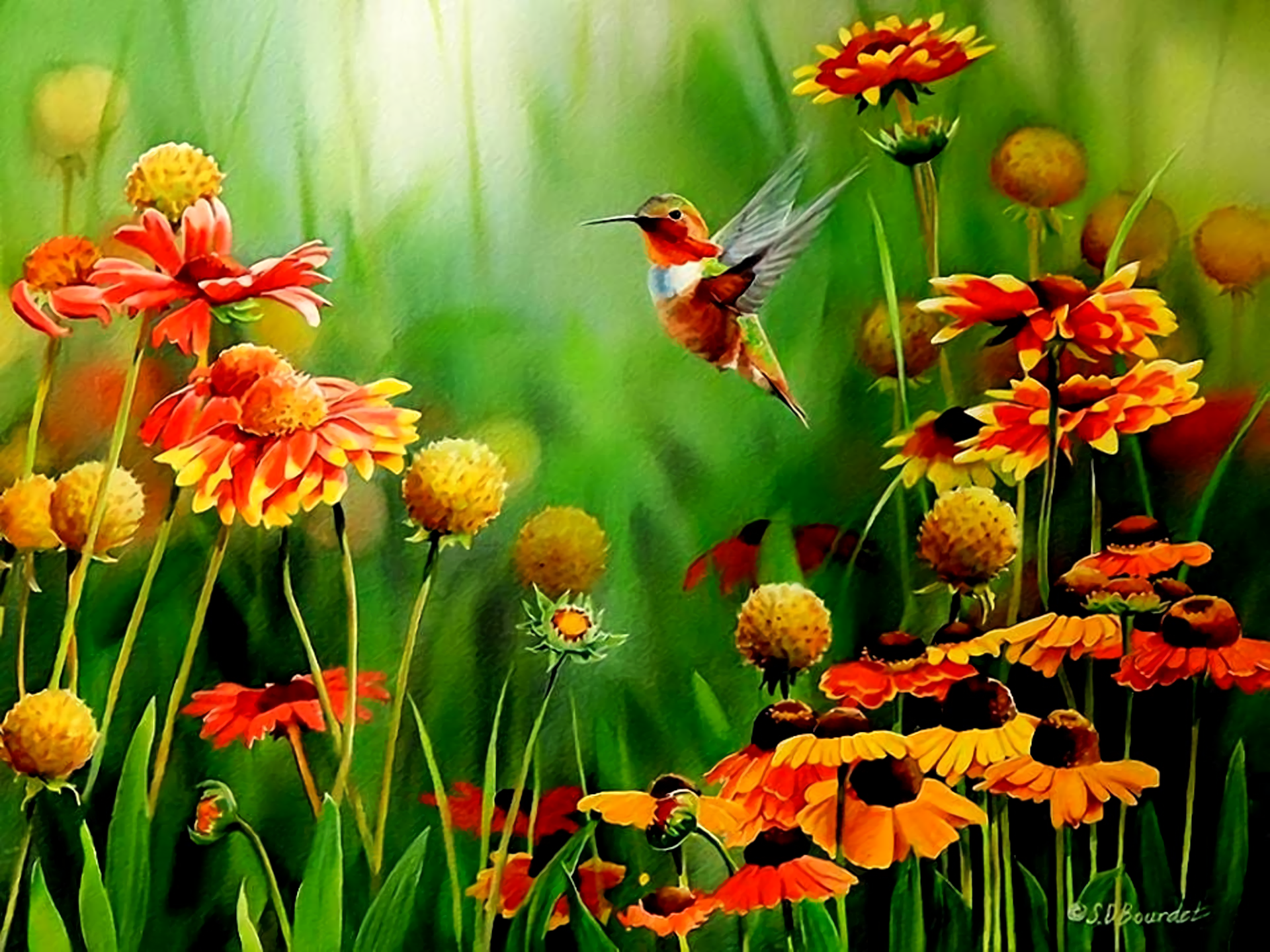 Download Colors Hummingbird Bird Flower Artistic Painting HD Wallpaper