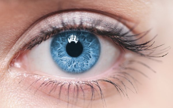 Women Eye Close-Up Blue Eyes HD Wallpaper | Background Image
