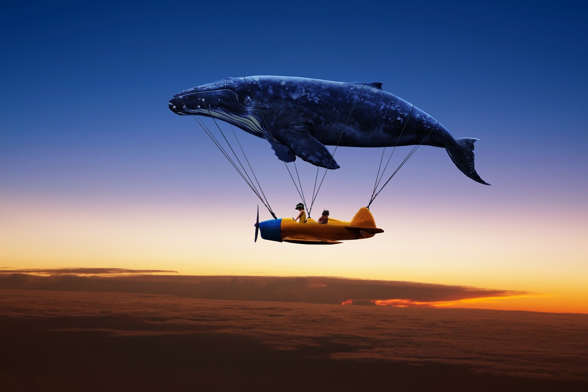 Artistic dream HD PC desktop wallpaper background: surreal scene of a massive whale suspended by ropes above a small vintage plane flying over a glowing sunset.
