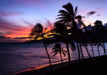 nature Hawaii HD Desktop Wallpaper | Background Image