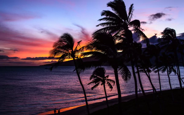 nature Hawaii HD Desktop Wallpaper | Background Image