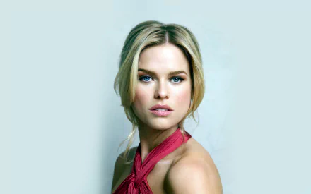 face blue eyes blonde actress English Celebrity Alice Eve HD Desktop Wallpaper | Background Image