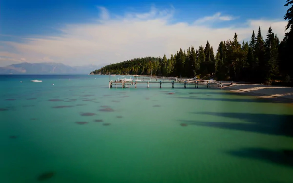 beach forest pier nature Lake Tahoe HD Desktop Wallpaper | Background Image
