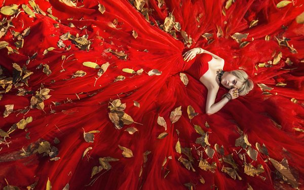 Women Artistic Blonde Lying Down Red Dress Leaf HD Wallpaper | Background Image
