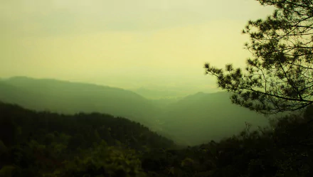  Foggy Mountain