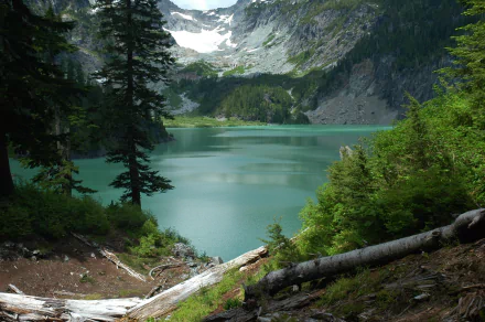 A serene mountain landscape in Washington featuring a tranquil lake surrounded by lush trees and rugged wilderness, capturing the beauty of nature in a national park setting.