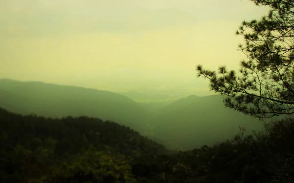  Foggy Mountain