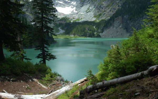 A serene mountain landscape in Washington featuring a tranquil lake surrounded by lush trees and rugged wilderness, capturing the beauty of nature in a national park setting.
