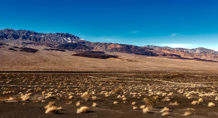 HD landscape of Death Valley desert with sparse vegetation and distant mountains under a clear blue sky, showcasing California’s rugged natural beauty.