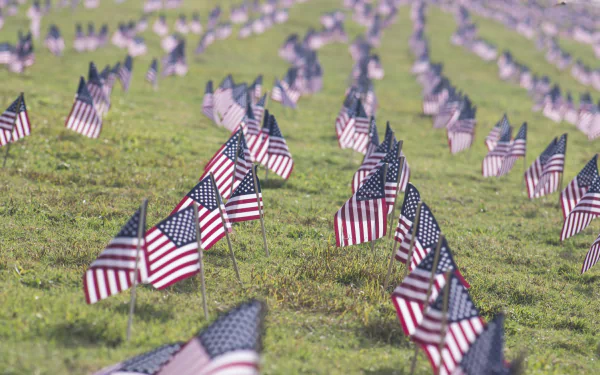 Rows of small American flags planted in green grass, honoring Memorial Day and Veterans Day, captured in a crisp 4K Ultra HD desktop wallpaper.